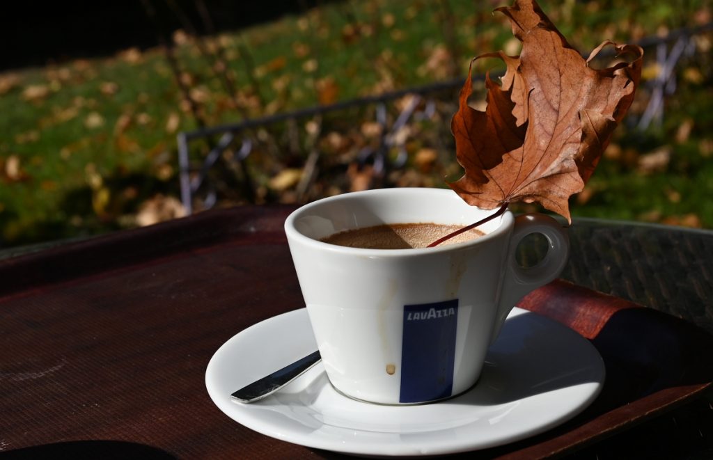 Obrazek ilustrujący artykuł na temat pochodzenie słowa kawa.